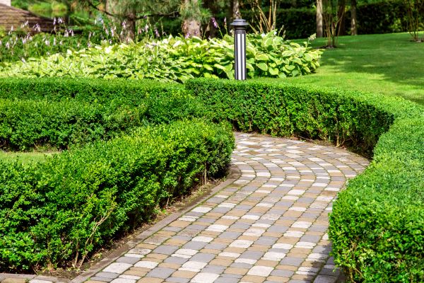 Cost of Paved Landscaping in Westlake
