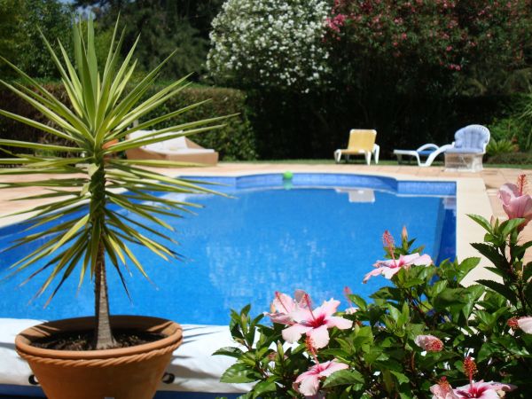 Cost of Pool Terrace Renovation in Westlake