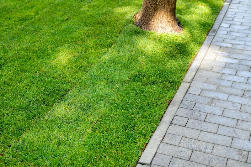 Paver Pathway Installation