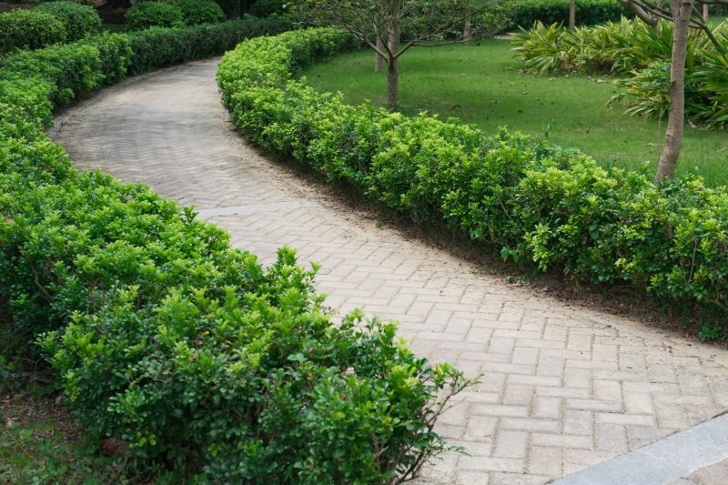 Paver Walkway Installation